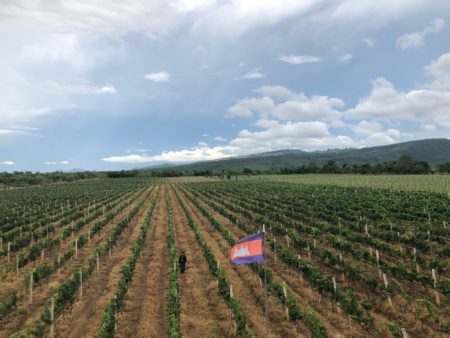 pailin12