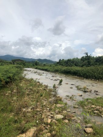 pailin4