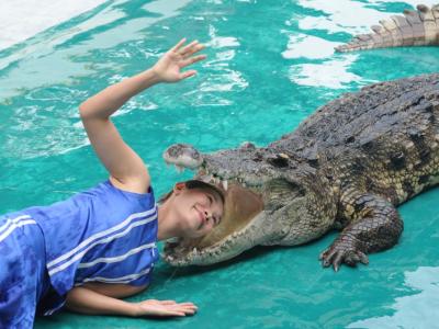 【プノンペン発】コッコン州への旅・サファリーワールドと自然を楽しむ1泊2日プラン