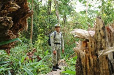 【シェムリアップ発】カンボジア最高峰アオラル山登山ツアー　2泊3日プラン