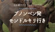 プノンペン発　モンドルキリ行き/バスチケット