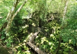 大人気遺跡「ベンメリア」と東洋のモナリザ「バンテアイスレイ」 郊外2遺跡巡り!【混載・専用車選択可】