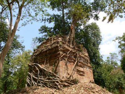 【プノンペン発】プレアンコール遺跡・サンボー・プレイクックの旅