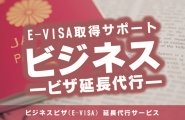 ビザ
